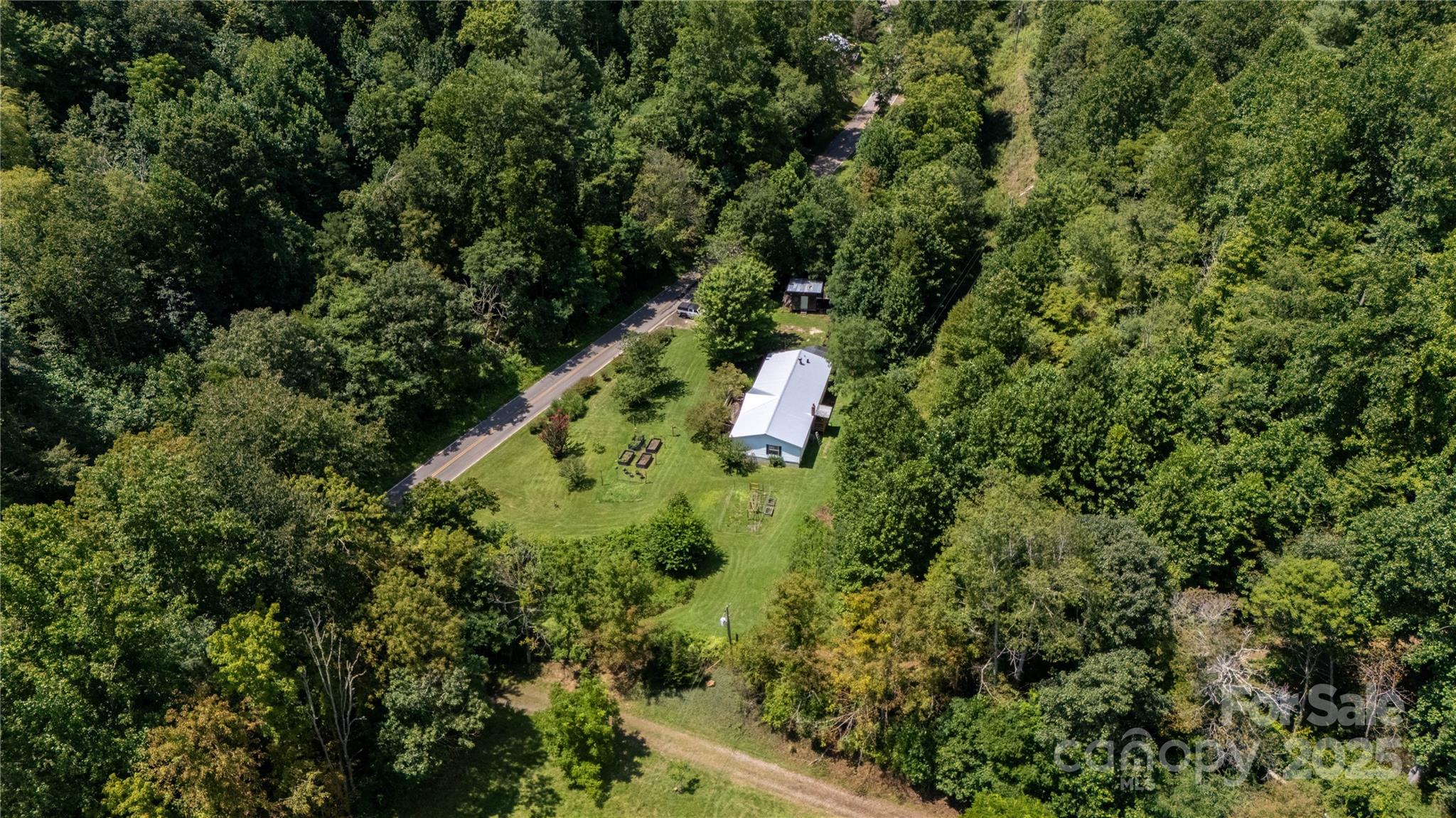 614 Upper Doe Bag Road Green Mountain, NC 28740 - Photo 13 of 44 a view of a forest with a tree