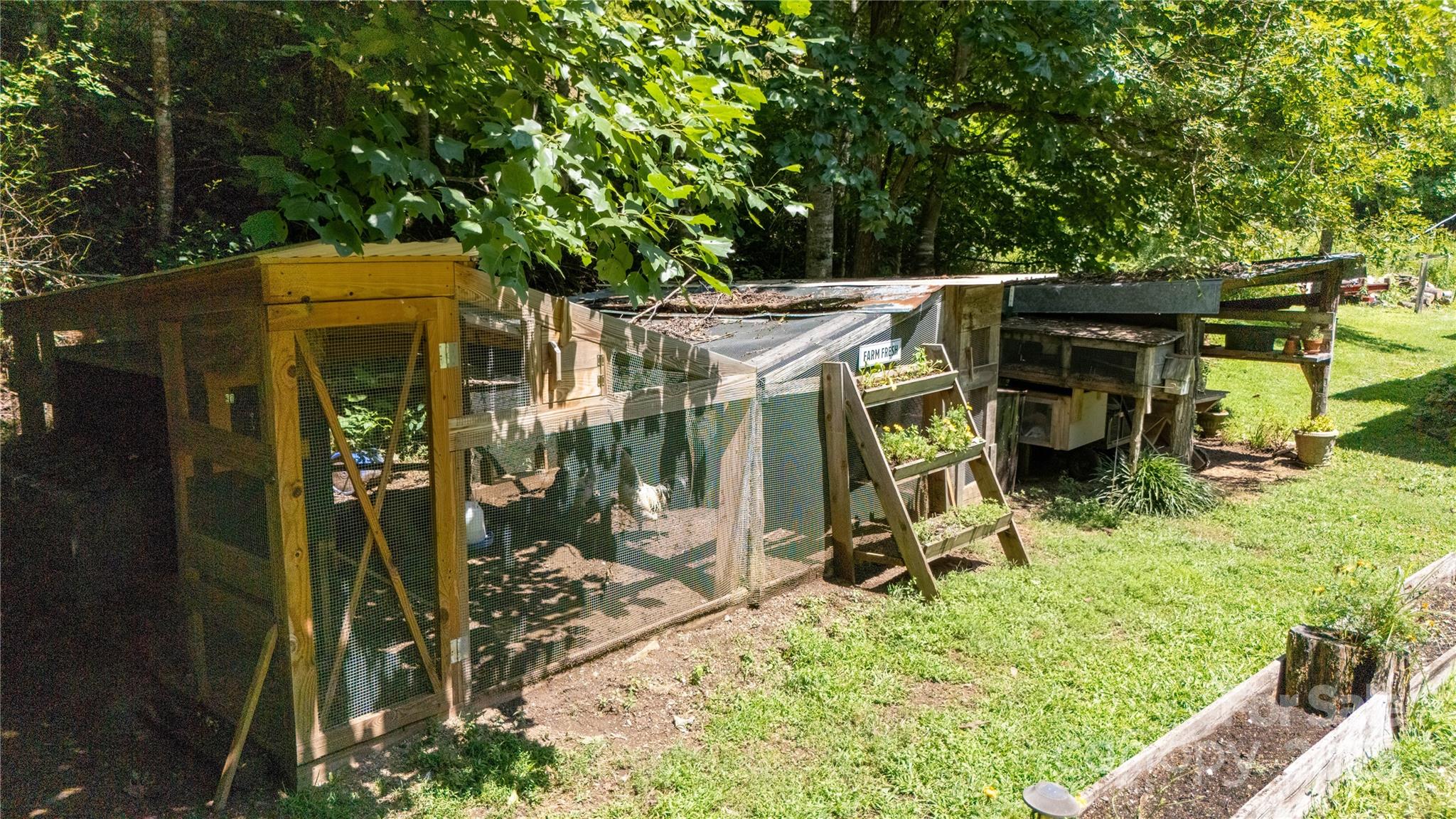 614 Upper Doe Bag Road Green Mountain, NC 28740 - Photo 8 of 44 a view of outdoor space and porch