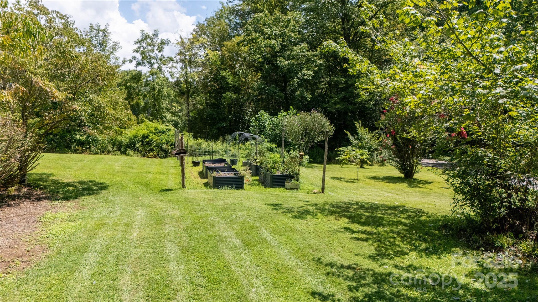614 Upper Doe Bag Road Green Mountain, NC 28740 - Photo 10 of 44 a view of backyard with swimming pool