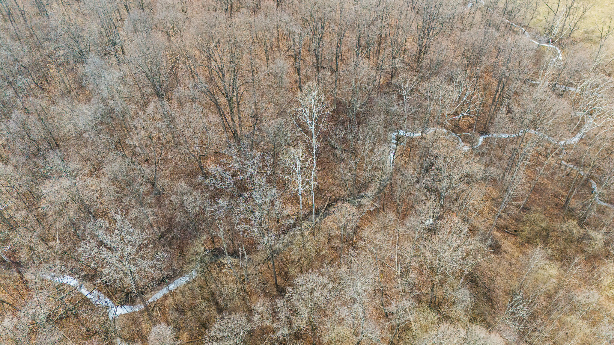 10999 Morrison-Mikesell Road New Paris, OH 45347 - Photo 10 of 51 DJI_20260123144420_0762_D