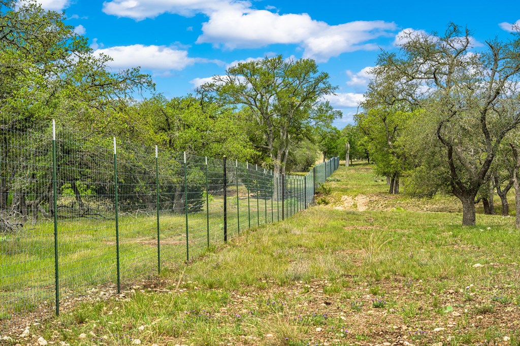 1379 Barker Rogers Road Harper, TX 78631 - Photo 29 of 32