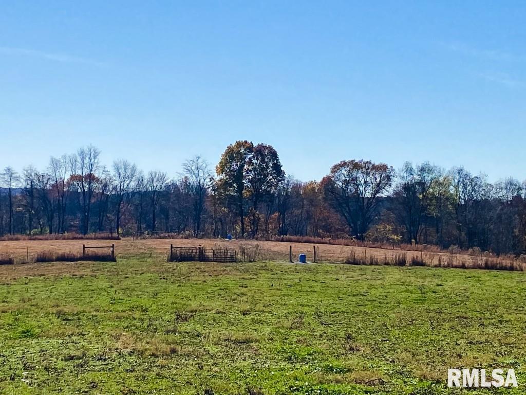 1280 Kimber Road Dongola, IL 62926 - Photo 14 of 29 Gallery Image 14