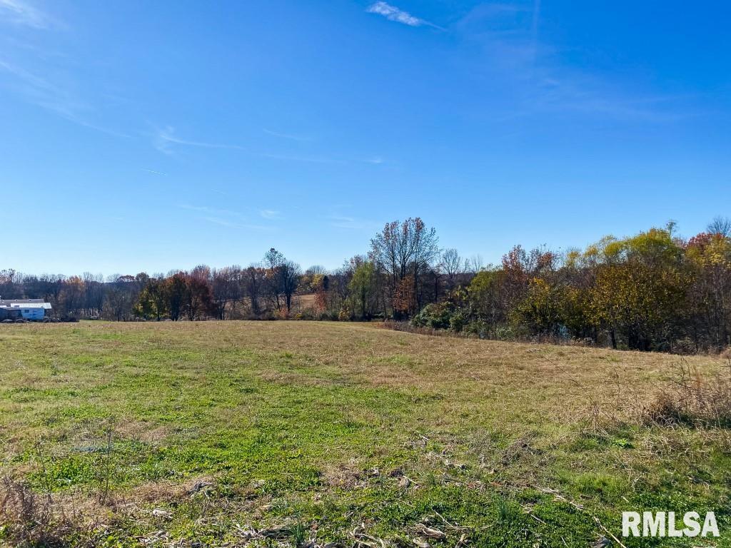 1280 Kimber Road Dongola, IL 62926 - Photo 15 of 29 Gallery Image 15