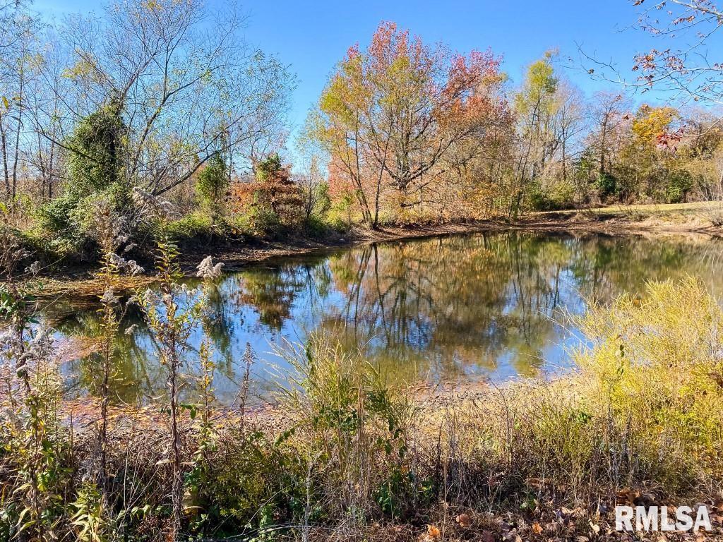 1280 Kimber Road Dongola, IL 62926 - Photo 17 of 29 Gallery Image 17