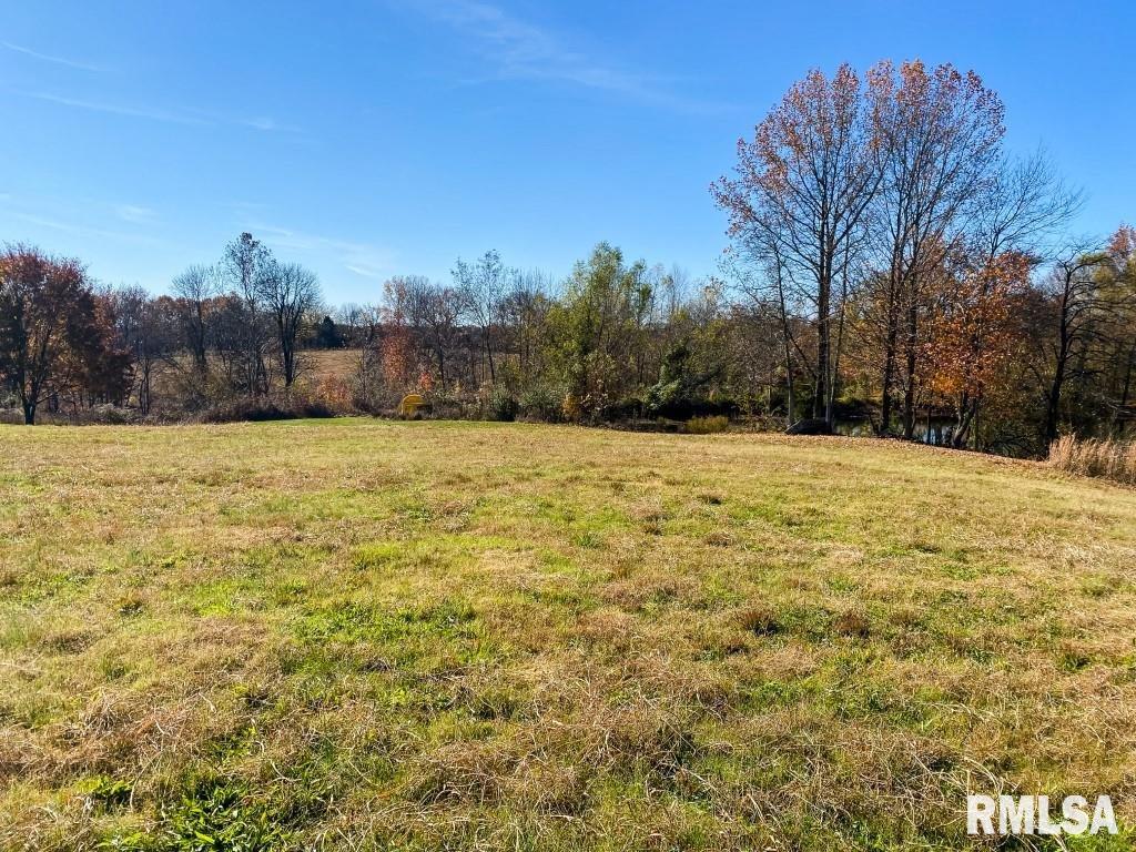 1280 Kimber Road Dongola, IL 62926 - Photo 19 of 29 Gallery Image 19