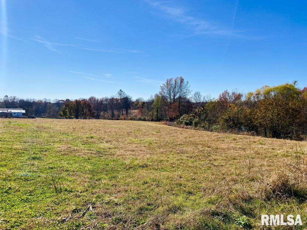 1280 Kimber Road Dongola, IL 62926 - Photo 20 of 29 Gallery Image 20