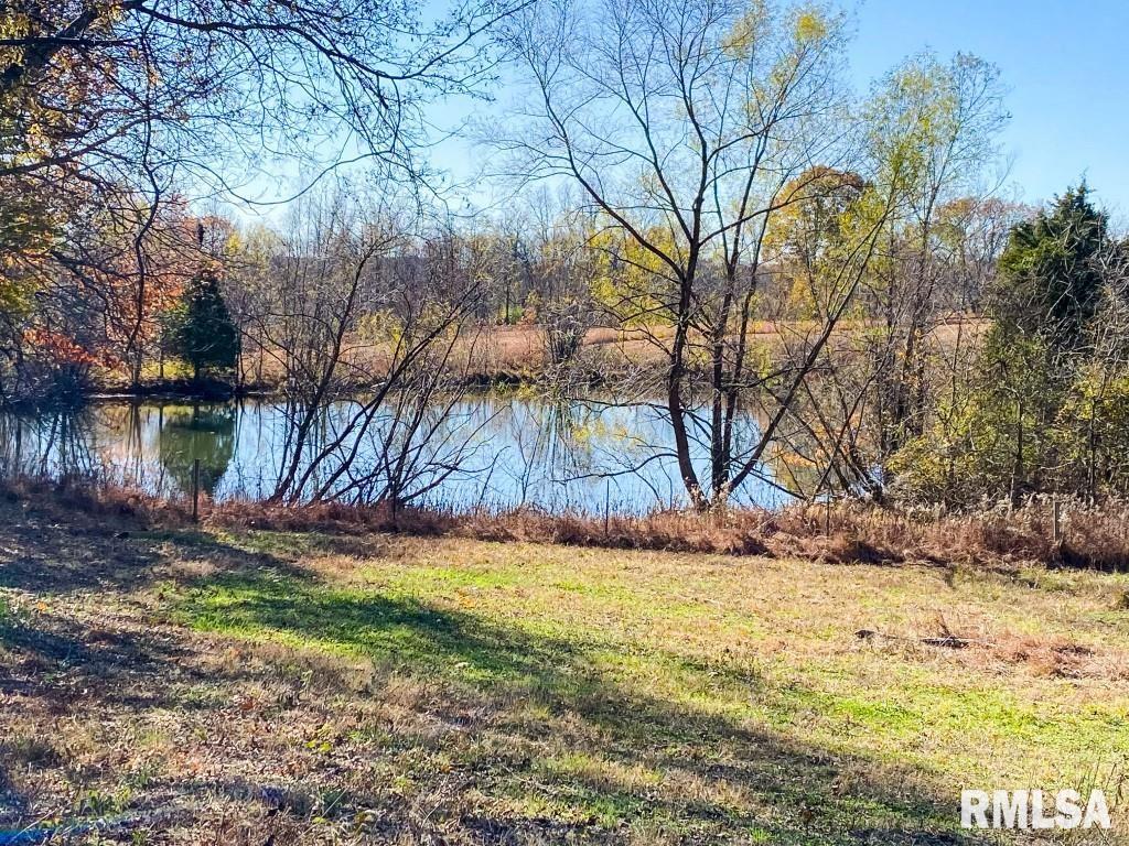 1280 Kimber Road Dongola, IL 62926 - Photo 10 of 29 Gallery Image 10