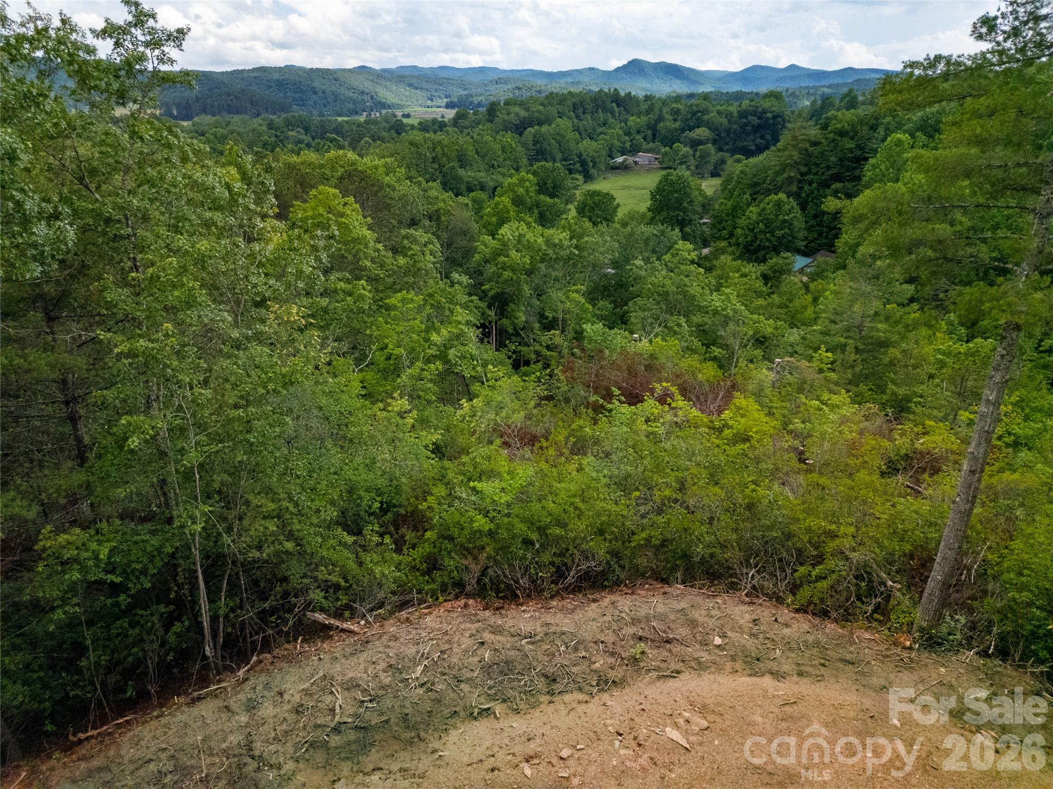 Tbd Cherryfield Loop Brevard, NC 28712 - Photo 2 of 15