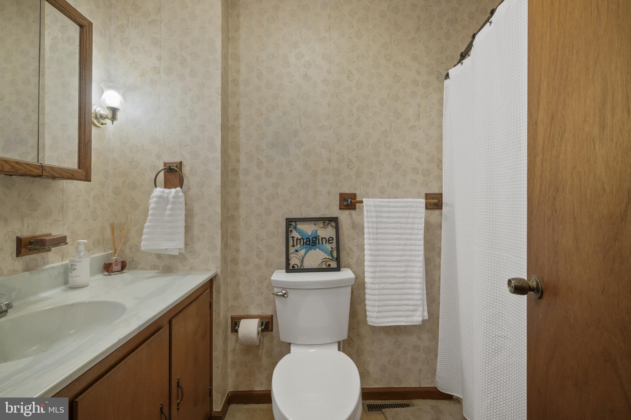 18151 New Cut Road Mount Airy, MD 21771 - Photo 20 of 49 Full Hall Bathroom