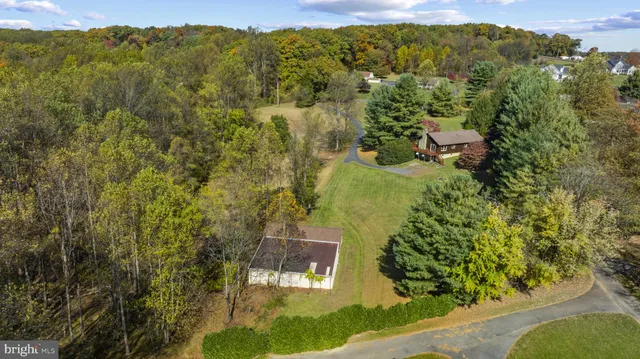 a view of a city with lush green forest