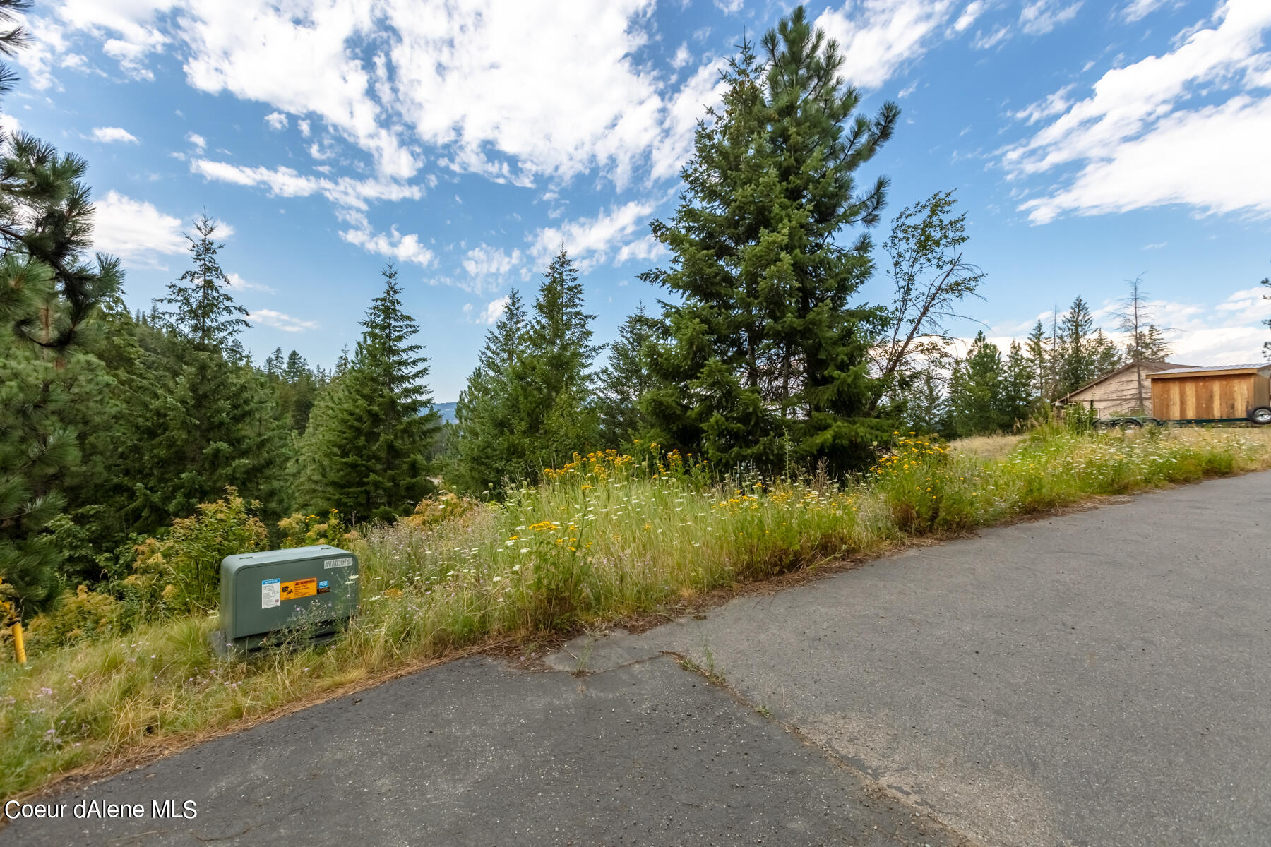 1870 East Flying Eagle Road Harrison, ID 83833 - Photo 5 of 5 Road to Property