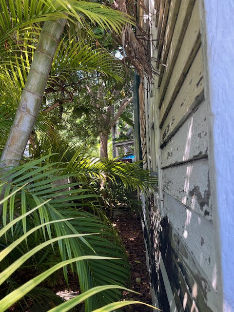 907 Virginia Street Key West, FL 33040 - Photo 3 of 19 a view of a yard