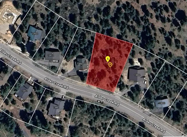 a view of a tree with a yard