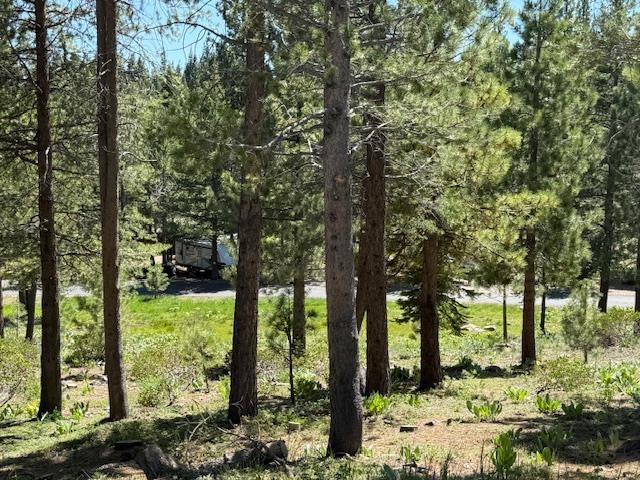 13872 Alder Creek Road Truckee, CA 96161 - Photo 11 of 14 a view of backyard with green space