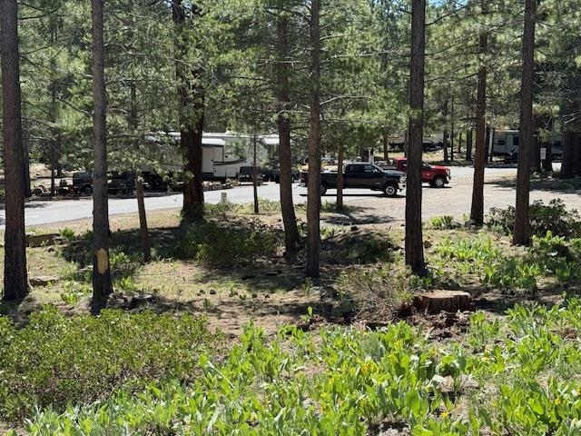 13872 Alder Creek Road Truckee, CA 96161 - Photo 13 of 14 a view of street with sitting area