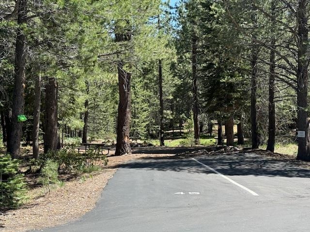 13872 Alder Creek Road Truckee, CA 96161 - Photo 14 of 14