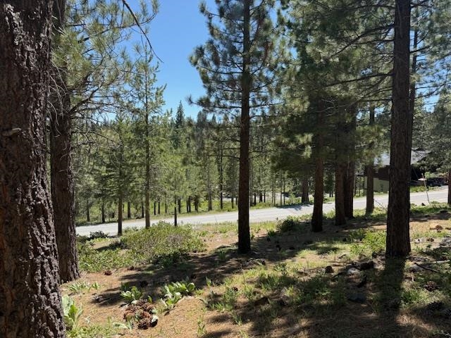 13872 Alder Creek Road Truckee, CA 96161 - Photo 5 of 14 a view of outdoor space with trees
