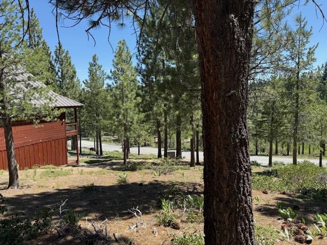 13872 Alder Creek Road Truckee, CA 96161 - Photo 6 of 14 a view of outdoor space with garden
