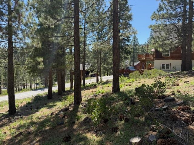 13872 Alder Creek Road Truckee, CA 96161 - Photo 7 of 14 a view of a yard with tree s