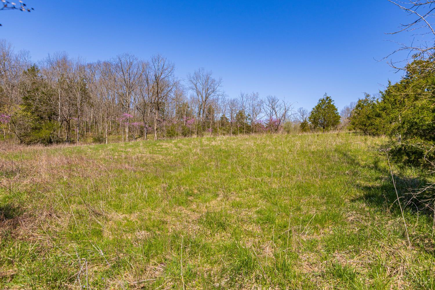 1169 Horner Chapel Road Peebles, OH 45660 - Photo 18 of 22