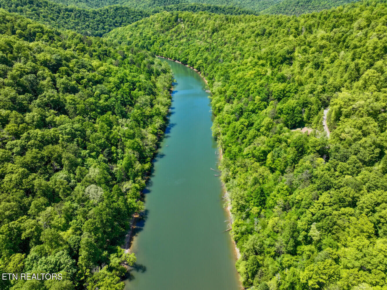 Lot 121 Towncreek Road Speedwell, TN 37870 - Photo 25 of 32 6a2dd1ae98c6e