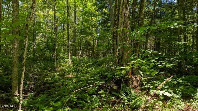 $3,500,000 | 10279 Adirondack Trail, Malone, NY 12953