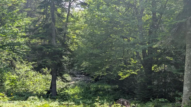 $3,500,000 | 10279 Adirondack Trail, Malone, NY 12953