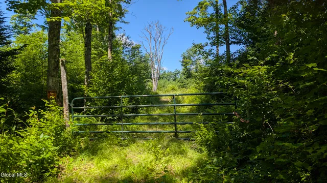 $3,500,000 | 10279 Adirondack Trail, Malone, NY 12953