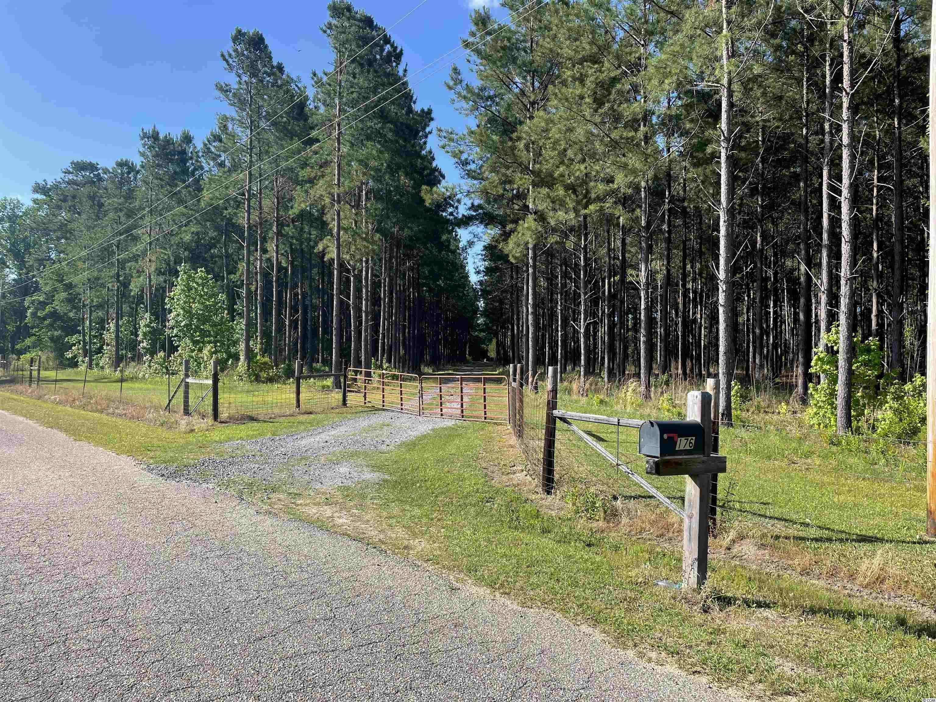 176 Country Road Hemingway, SC 29554 - Photo 4 of 34