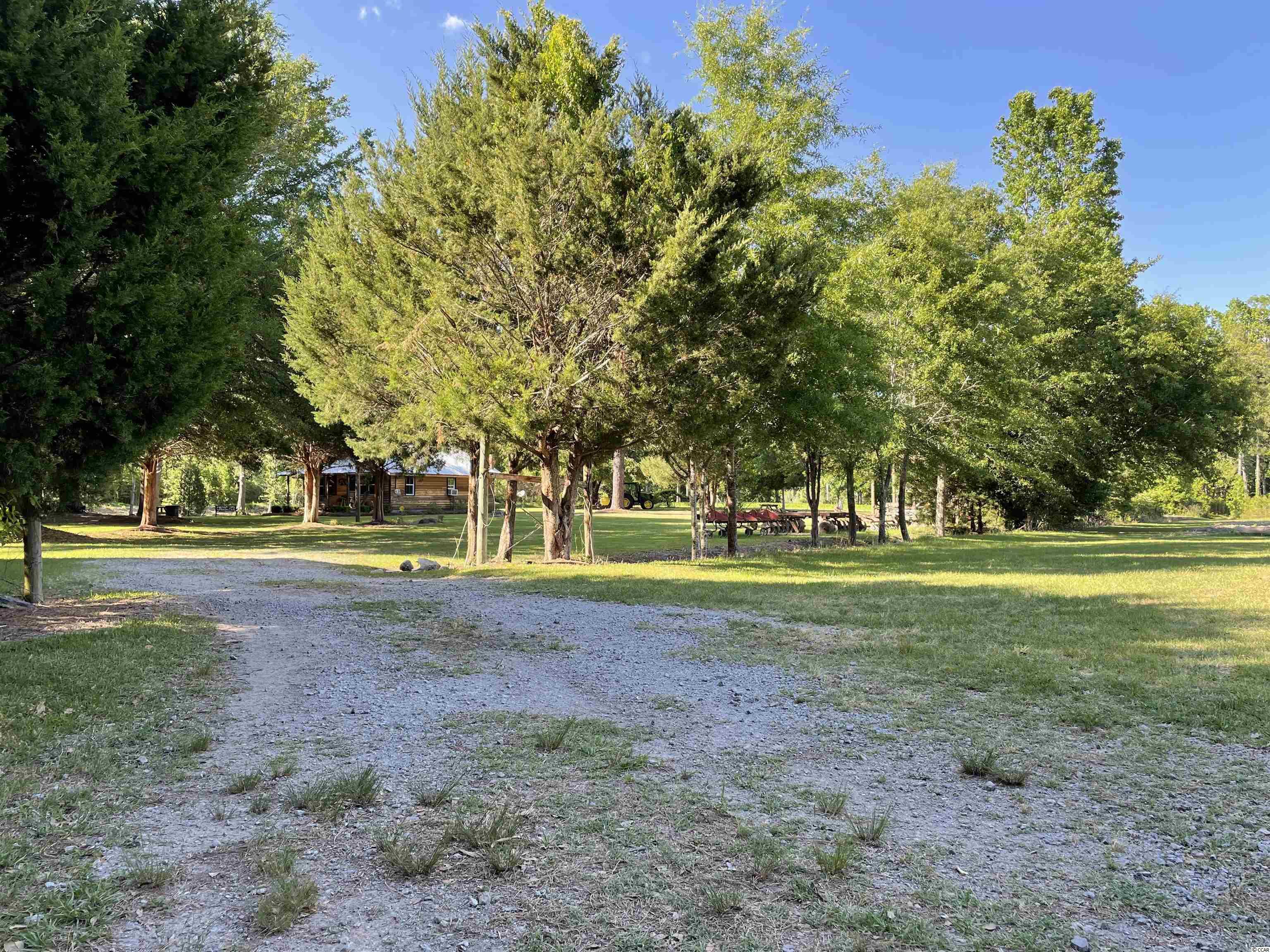 176 Country Road Hemingway, SC 29554 - Photo 8 of 34