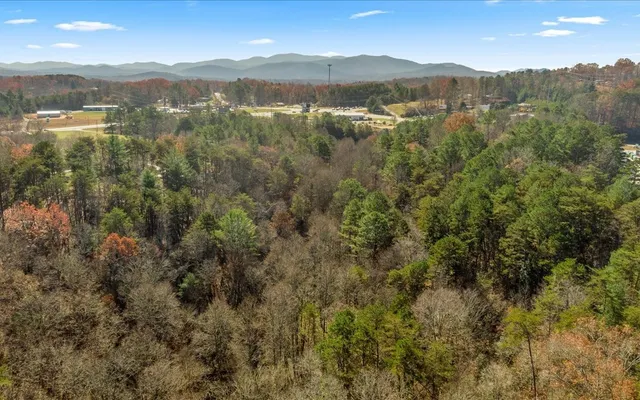 a view of a town with mountains in the background