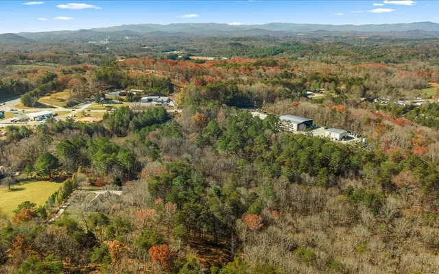 a view of city and mountain