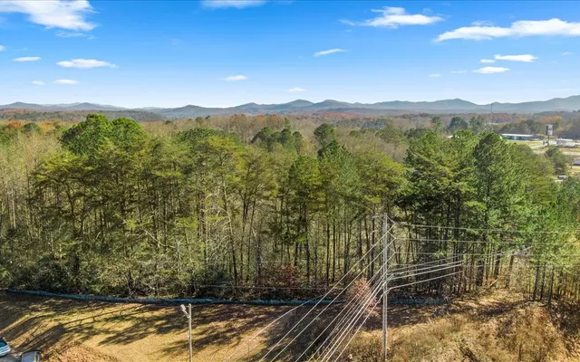 a view of a lush green forest with mountains in the background