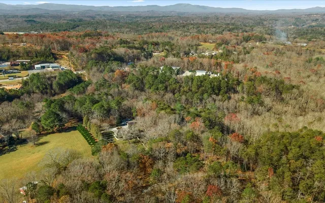 an aerial view of residential houses with outdoor space and mountain view