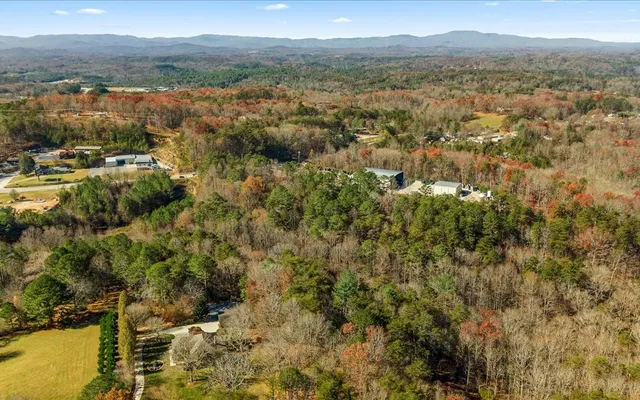 a view of a city with mountains in the background