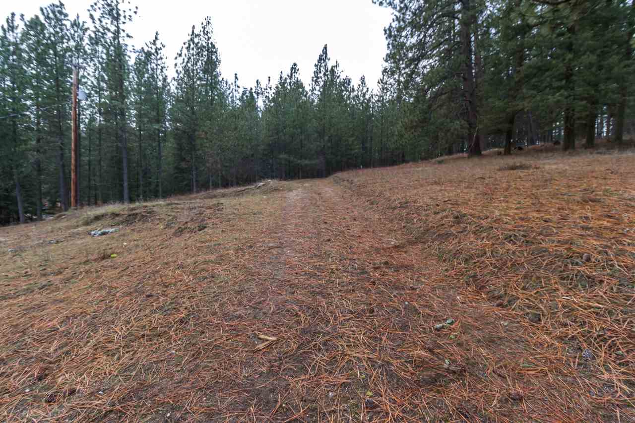 21017 North Madison Road Mead, WA 99021 - Photo 11 of 17