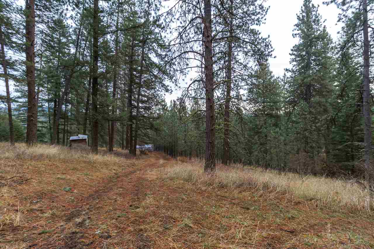 21017 North Madison Road Mead, WA 99021 - Photo 13 of 17