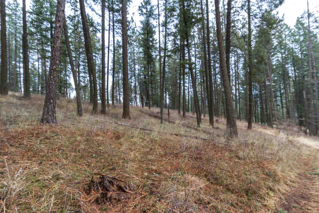 21017 North Madison Road Mead, WA 99021 - Photo 14 of 17