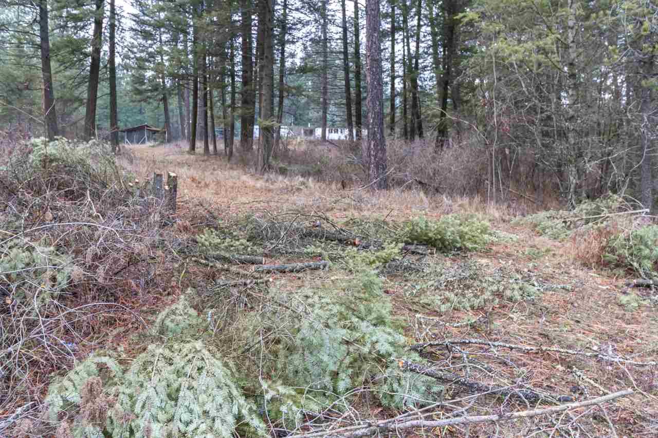 21017 North Madison Road Mead, WA 99021 - Photo 7 of 17