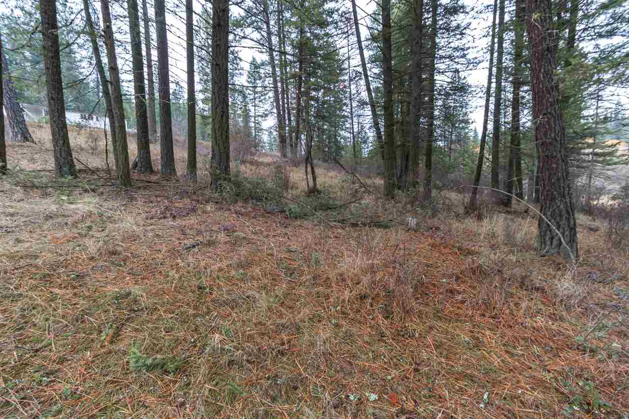 21017 North Madison Road Mead, WA 99021 - Photo 8 of 17