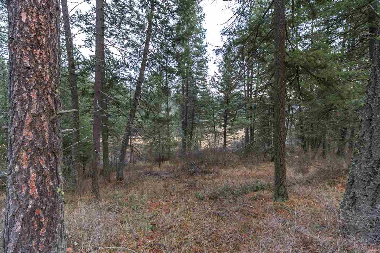 21017 North Madison Road Mead, WA 99021 - Photo 9 of 17