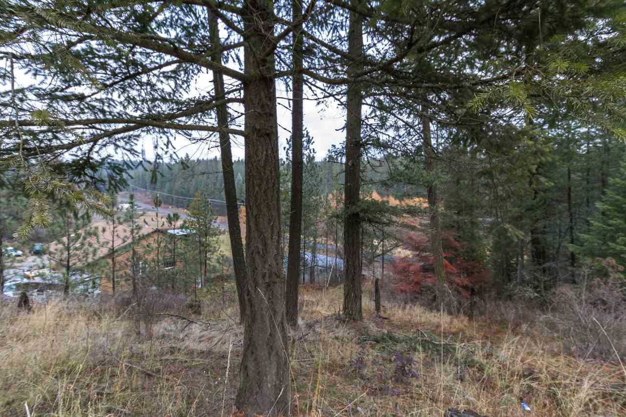 21017 North Madison Road Mead, WA 99021 - Photo 10 of 17