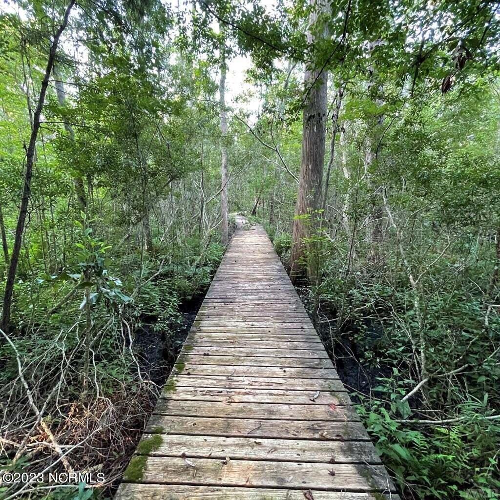 182 Pine Point Road Hertford, NC 27944 - Photo 2 of 3 Walkway from lot to the water