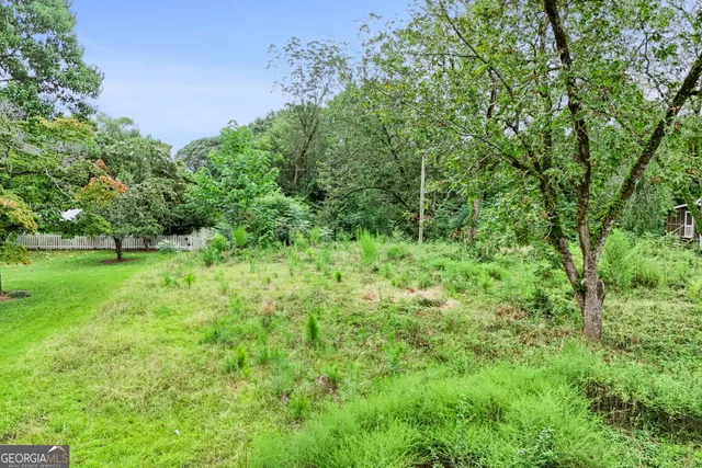 a view of park with large trees and plants