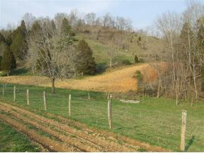 3 Rr Gate City, VA 24251 - Photo 8 of 9 Photo 8