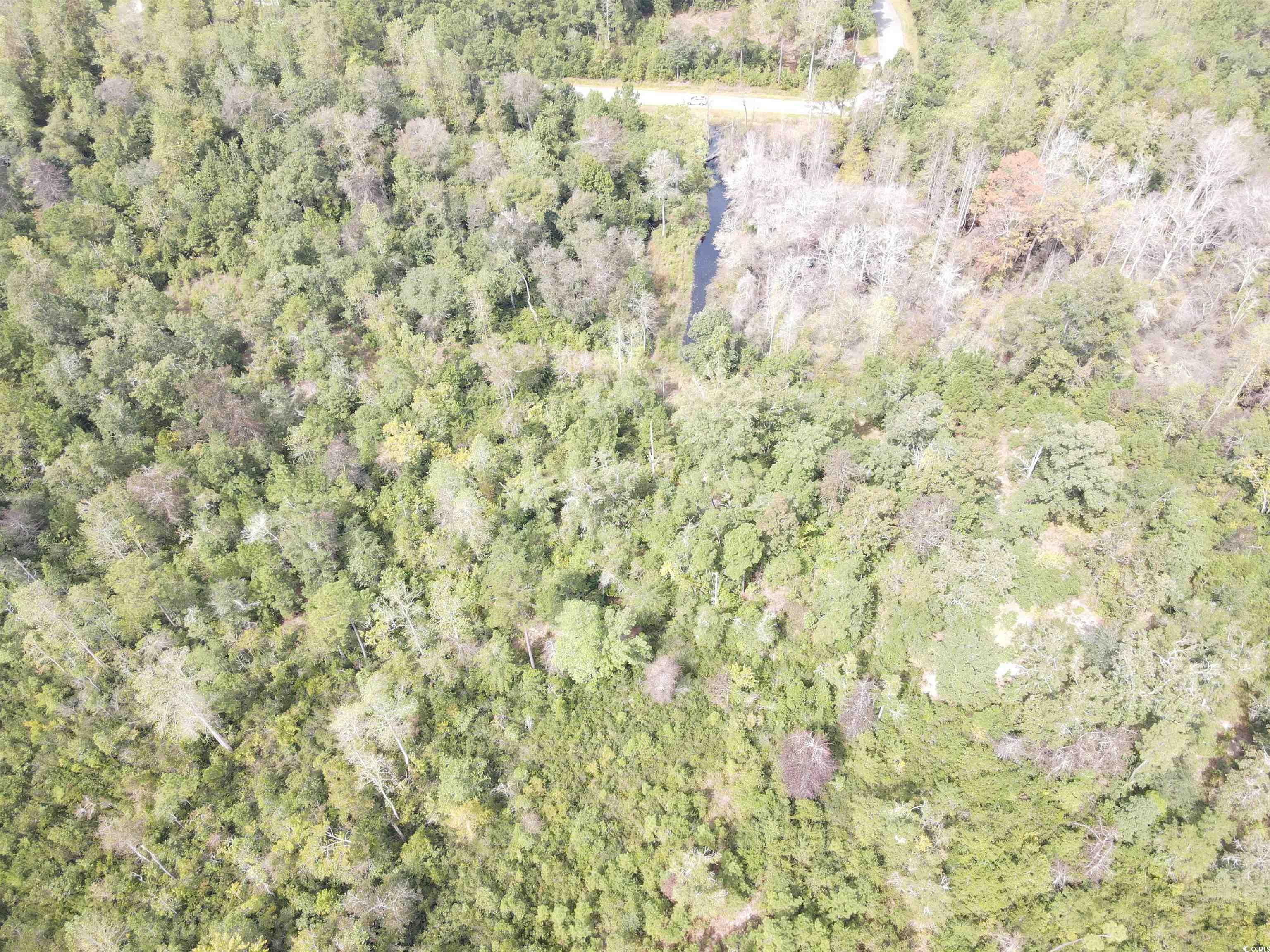 Lot 6 Rainbow Drive Loris, SC 29569 - Photo 13 of 21