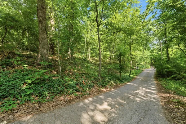 $120,000 | 0 Westridge Avenue, Unit LOT 9, Chattanooga, TN 37409