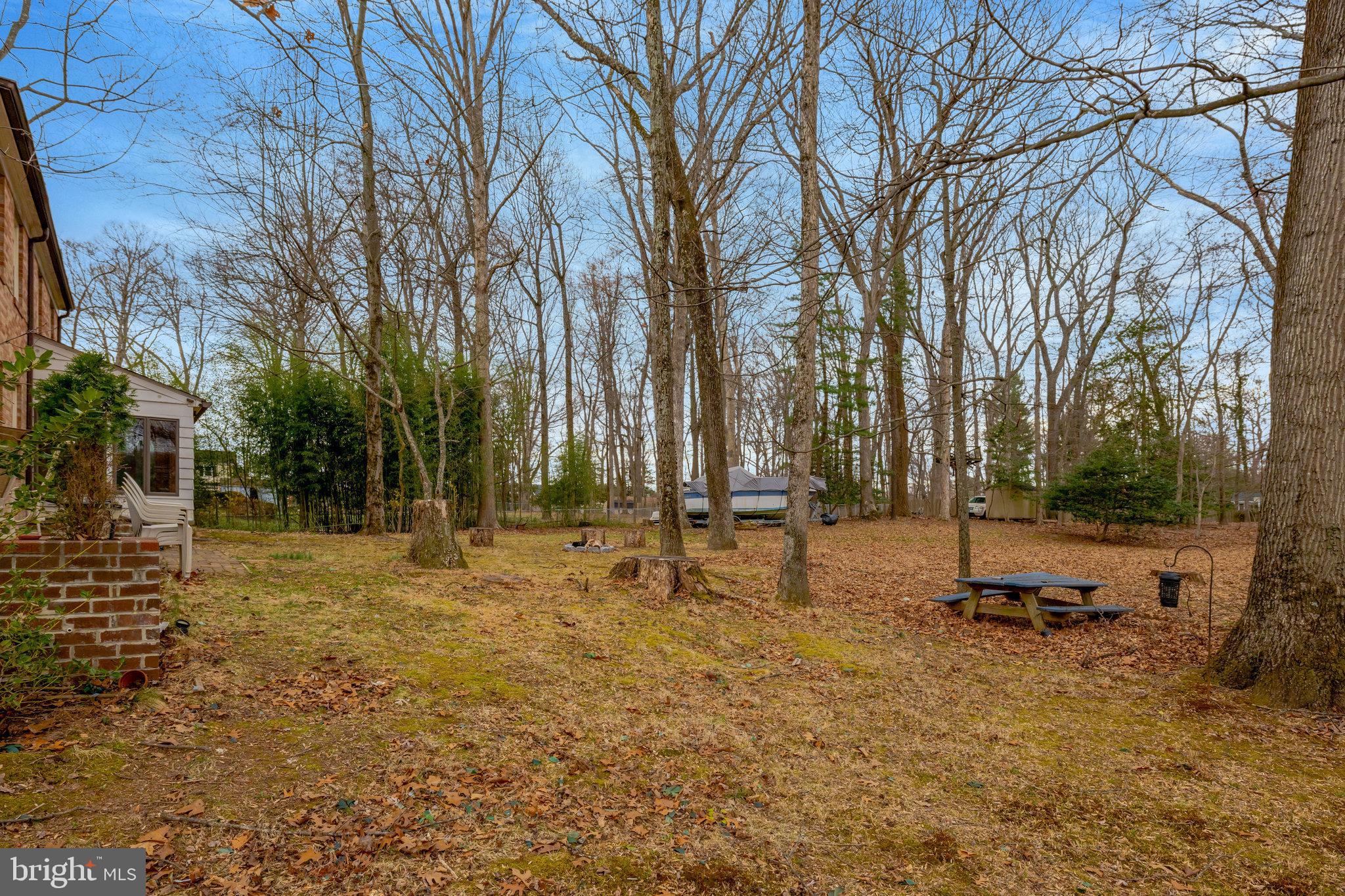 11332 Vale Road Oakton, VA 22124 - Photo 44 of 52 a view of a park with large trees