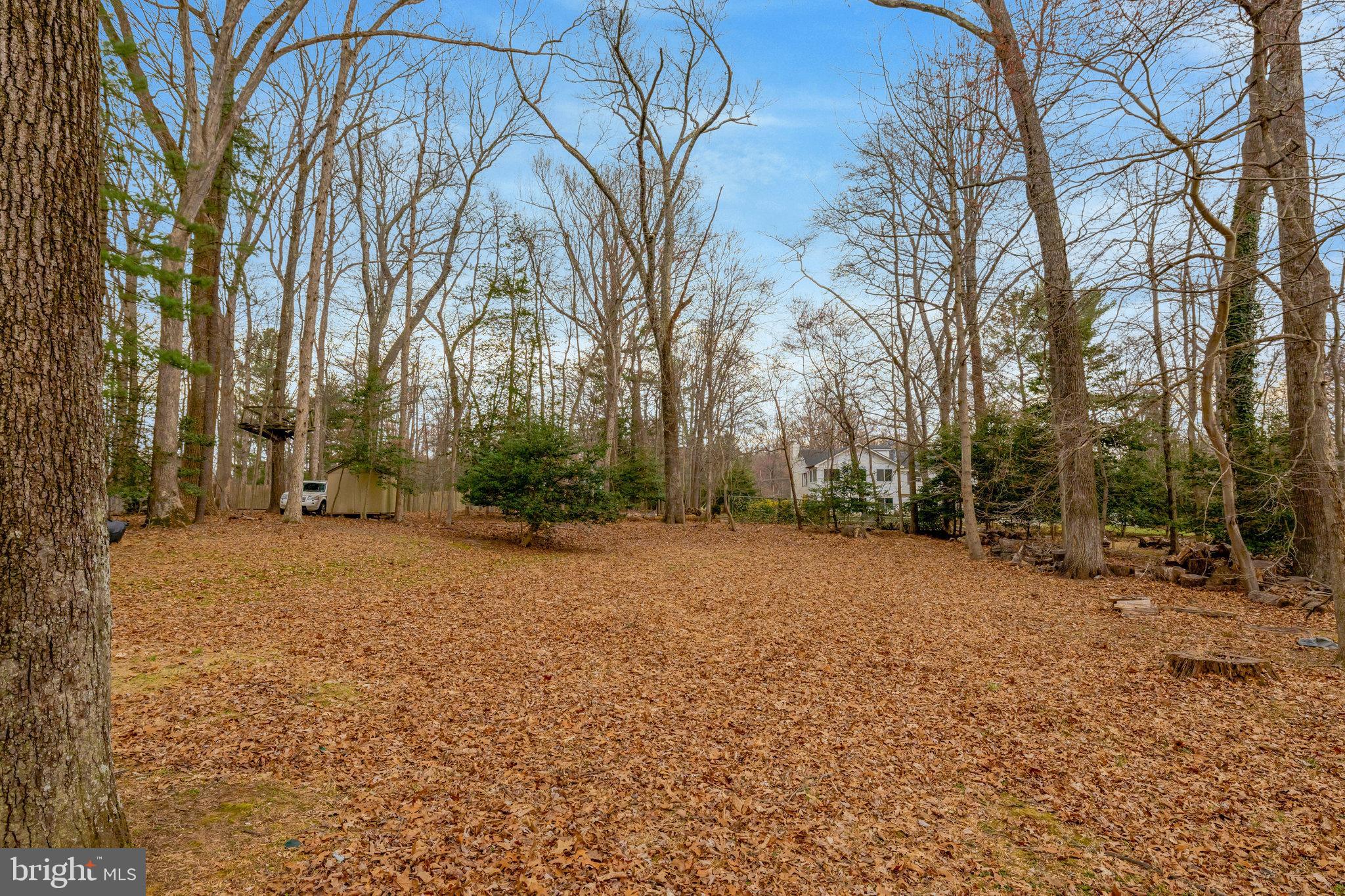 11332 Vale Road Oakton, VA 22124 - Photo 48 of 52 a backyard of a house with large trees
