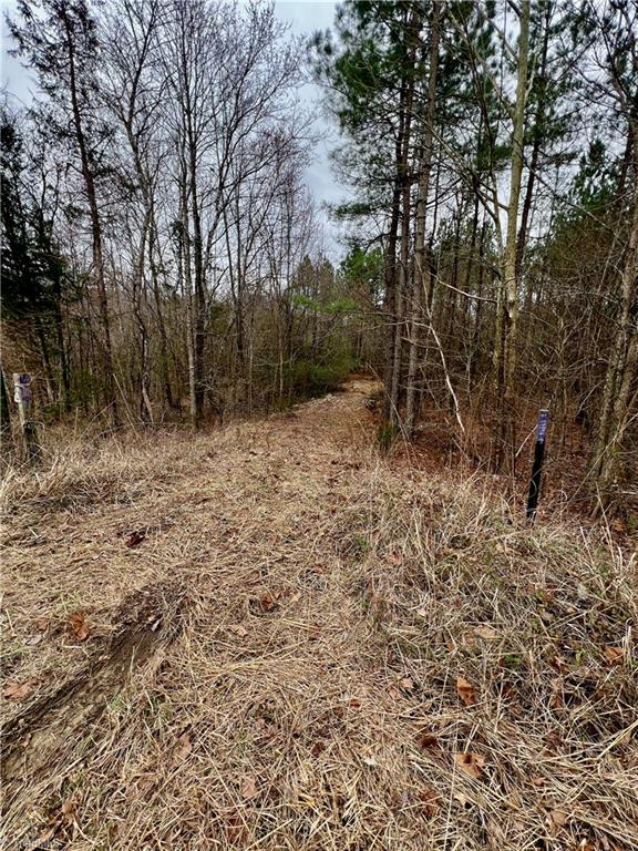 0 Barnwell Road Prospect Hill, NC 27314 - Photo 13 of 14 Gallery Image 13